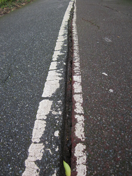 The photo for Cracking NCR18 cycle path south of Mace Lane.